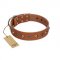 "Silver Age" Fashionable FDT Artisan Tan Leather Amstaff Collar with Silver-Like Studs
