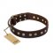 "Bronze Sheen" FDT Artisan Leather Amstaff Collar with Brass-Plated Studs