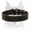 Wide and Solid Leather Dog Collar for Amstaff Breed