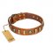 "Happy Hound" FDT Artisan Tan Leather Amstaff Collar with Elegant Decorations