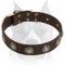Astonishing Leather Dog Collar with Beautiful Conchos for Amstaff