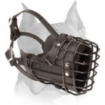 Winter Walking Wire Cage Leather Dog Muzzle for Amstaff Breed