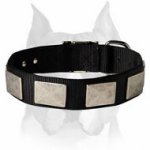 Medieval Style Nylon Dog Collar For Amstaff Breed