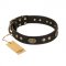 "Perfect Tracery" FDT Artisan Black Leather Amstaff Collar with Old Bronze Look Plates and Circles