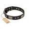 "Jewel Passion" FDT Artisan Fashionable Black Leather Amstaff Collar