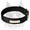 Practical 2 Ply Nylon Dog Collar with name tag for Amstaff