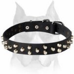 Exclusive Leather Dog Collar with 3 rows of small pyramids for Amstaff
