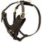 Amstaff Exclusive Luxury Handcrafted Padded Leather Dog Harness