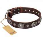 "Extra Pizzazz" FDT Artisan Adorned Brown Leather Amstaff Collar