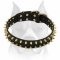 Amstaff Spiked Genuine Leather Dog Collar with Buckle