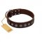 "Starry-Eyed" Best Quality FDT Artisan Brown Designer Leather Amstaff Collar with Small Plates