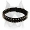 Nylon Amstaff Dog Collar with Spikes
