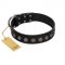 "Silent Star" Handmade FDT Artisan Designer Black Leather Amstaff Collar with Engraved Plates