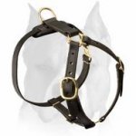 AMSTAFF Leather Dog Harness for Walking and Tracking