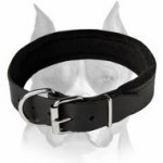 Super Felt Padded Leather Dog Collar for Amstaff