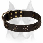 'Spring mood' Leather Amstaff Collar for Joyful Walking