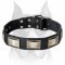 "Vogue Mania" Amstaff Leather Dog Collar with Nickel Plates
