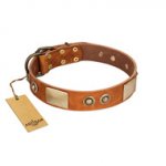 "Perfect Blend" FDT Artisan Tan Leather Amstaff Collar 1 1/2 inch (40 mm) wide