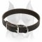 Classic Leather Dog Collar for Amstaff
