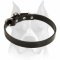 Master Leather Dog Collar For Amstaff