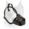 Walking Leather Muzzle for Amstaff