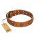 "Rockstar" FDT Artisan Tan Leather Amstaff Collar with Engraved Studs and Medallions