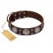 "Imperial Legate" FDT Artisan Brown Leather Amstaff Collar with Big Round Plates