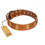 "Glossy Autumn" Designer Handmade FDT Artisan Tan Leather Amstaff Collar with Ovals and Studs