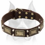 Amstaff Leather Dog Collar Decorated with Massive Brass Plates