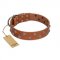"Waltz of the Flowers" Handmade FDT Artisan Tan Leather Amstaff Collar with Chrome-plated Engraved Studs