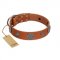 "Foxy Nature" FDT Artisan Tan Leather Amstaff Collar with Chrome Plated Brooches