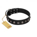 "Black Knight" Handmade FDT Artisan Black Leather Amstaff Collar with Silver-Like Studs