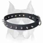 Amstaff Leather Dog Collar Decorated with 1 Row of Spikes