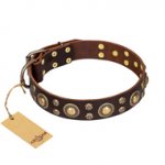 "Flower Melody" FDT Artisan Brown Leather Amstaff Collar with Mixed Studs