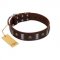 "War Chief" FDT Artisan Genuine Brown Leather Amstaff Collar with Skulls and Plates