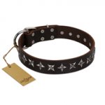 "Stars of Glory" FDT Artisan Brown Leather Amstaff Collar for Comfortable Walking