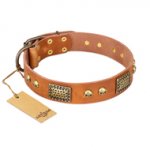 "Saucy Nature" FDT Artisan Tan Leather Amstaff Collar with Old Bronze Look Plates and Skulls