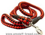 5 foot Round Nylon Leash With Brass Snap for Amstaff
