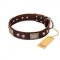 "Pirate Skull" FDT Artisan Brown Leather Amstaff Collar with Old Silver Look Plates and Skulls