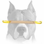 Amstaff Young Dog Bite Tug for Training and Improving Bite Skills