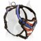 USA pride Harness for American Staffordshire Terriers