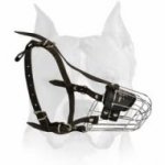 Amstaff Buckled Basket Muzzle with Perfect Ventilation