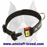 Durable All Weather Nylon Amstaff Dog Collar with identification patches