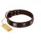 "Nut-Brown Finery" Embellished FDT Artisan Brown Leather Amstaff Collar with Chrome Plated Crossbones and Plates