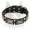 Amstaff Leather Dog Collar with Massive Nickel Fittings and Decorations