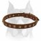 Exclusive Fashionable Design leather dog collar for Amstaff breed