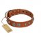 "Era Infinitum" FDT Artisan Tan Leather Amstaff Collar Adorned with Chrome-plated Circles