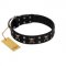 "Black Jack" Stylish Handmade FDT Artisan Black Leather Amstaff Collar