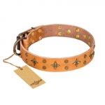 "Top-Flight" FDT Artisan Adorned Tan Leather Amstaff Collar