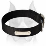 Practical 2 Ply Nylon Dog Collar with name tag for Amstaff